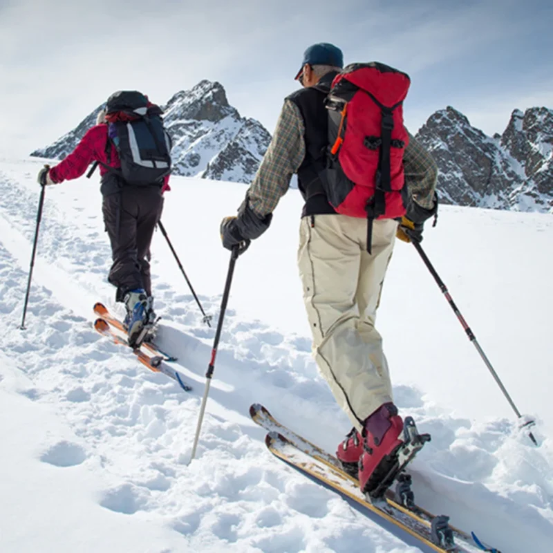 TrekMaster Elite: Bâtons de Trekking Ultralégers 2