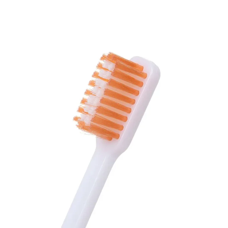 FoldBrush - Brosse Pliable de Voyage Elite 6